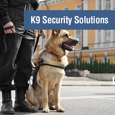 K9 security services